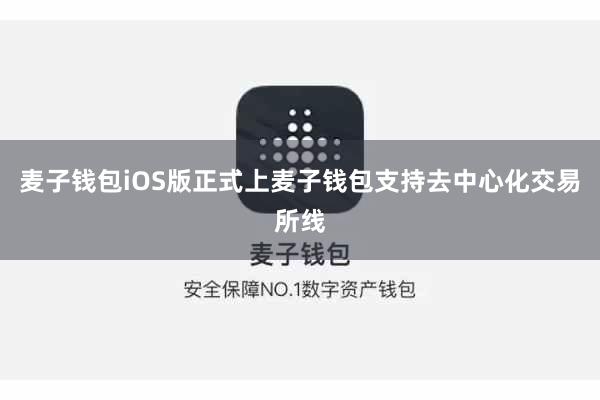 麦子钱包iOS版正式上麦子钱包支持去中心化交易所线