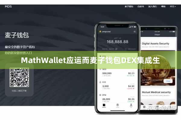 MathWallet应运而麦子钱包DEX集成生