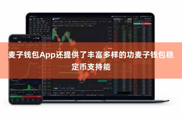 麦子钱包App还提供了丰富多样的功麦子钱包稳定币支持能