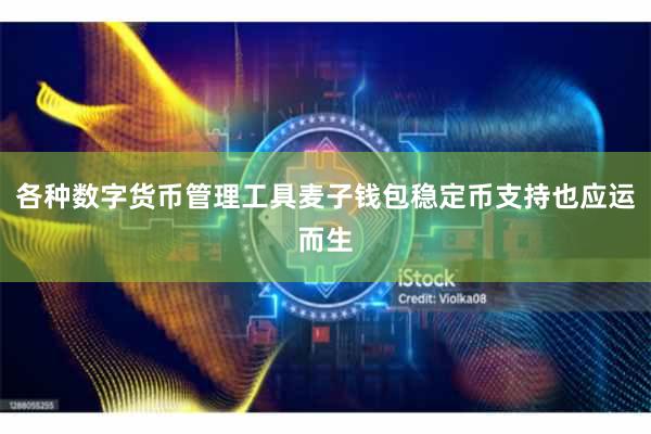 各种数字货币管理工具麦子钱包稳定币支持也应运而生