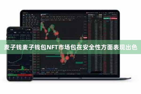 麦子钱麦子钱包NFT市场包在安全性方面表现出色
