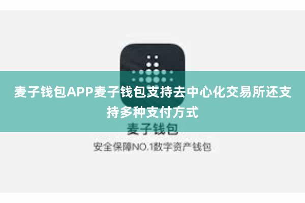 麦子钱包APP麦子钱包支持去中心化交易所还支持多种支付方式