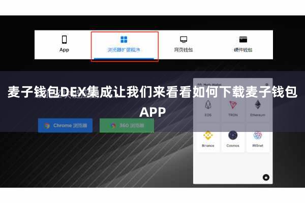 麦子钱包DEX集成让我们来看看如何下载麦子钱包APP