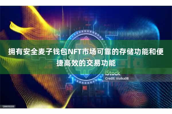 拥有安全麦子钱包NFT市场可靠的存储功能和便捷高效的交易功能