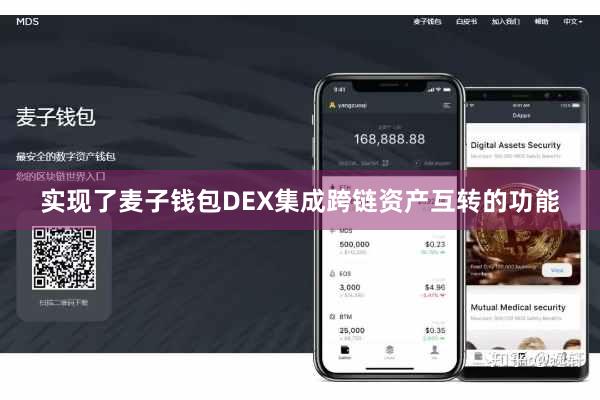 实现了麦子钱包DEX集成跨链资产互转的功能