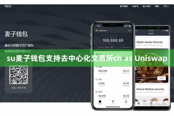 su麦子钱包支持去中心化交易所ch as Uniswap