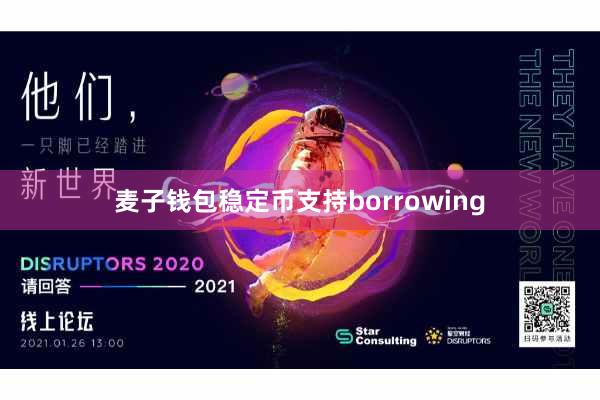 麦子钱包稳定币支持borrowing