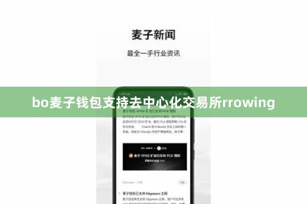 bo麦子钱包支持去中心化交易所rrowing