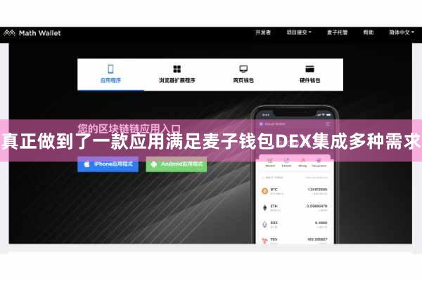 真正做到了一款应用满足麦子钱包DEX集成多种需求