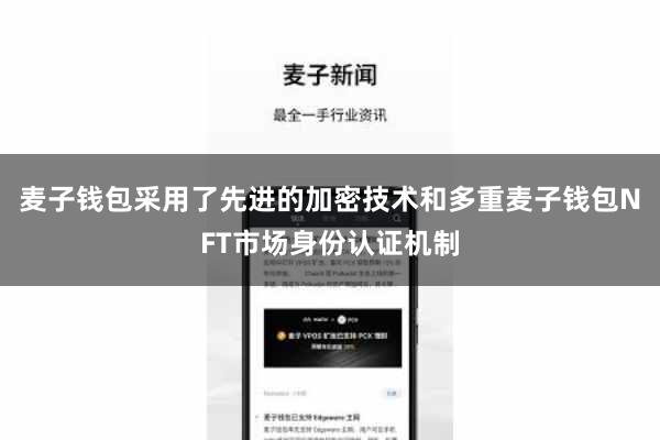 麦子钱包采用了先进的加密技术和多重麦子钱包NFT市场身份认证机制