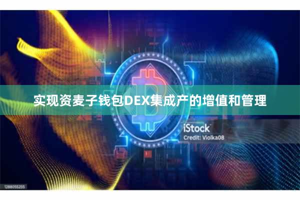 实现资麦子钱包DEX集成产的增值和管理