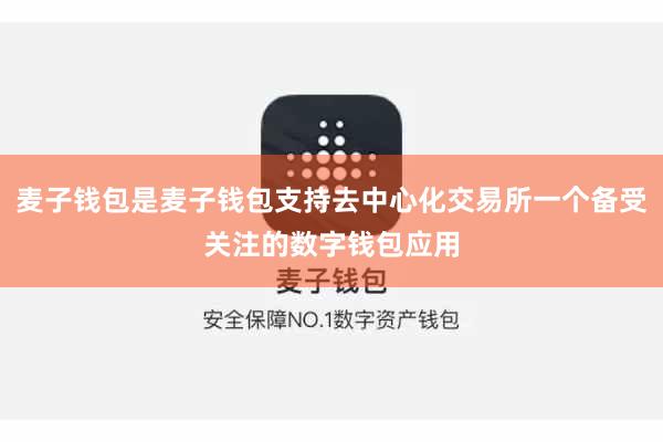 麦子钱包是麦子钱包支持去中心化交易所一个备受关注的数字钱包应用