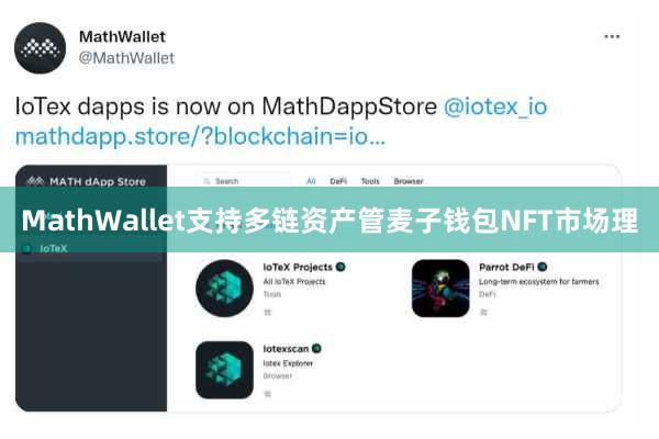 MathWallet支持多链资产管麦子钱包NFT市场理