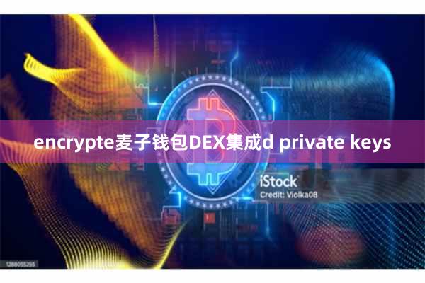 encrypte麦子钱包DEX集成d private keys