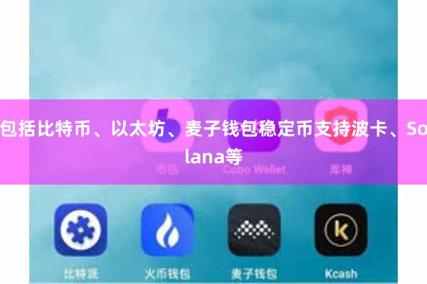 包括比特币、以太坊、麦子钱包稳定币支持波卡、Solana等