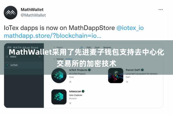 MathWallet采用了先进麦子钱包支持去中心化交易所的加密技术