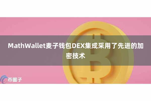 MathWallet麦子钱包DEX集成采用了先进的加密技术